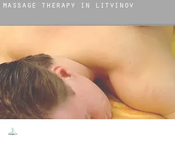 Massage therapy in  Litvínov