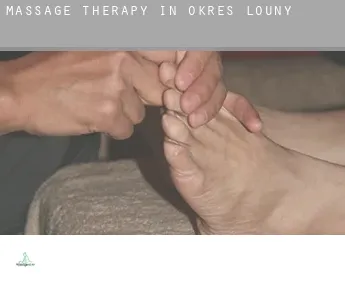 Massage therapy in  Okres Louny