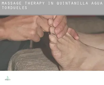 Massage therapy in  Quintanilla del Agua y Tordueles