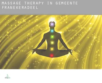 Massage therapy in  Gemeente Franekeradeel
