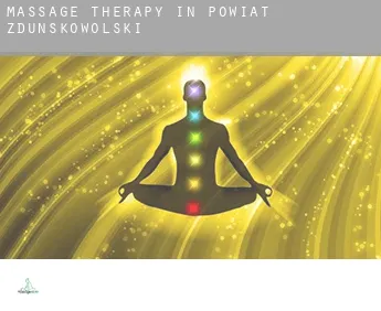 Massage therapy in  Powiat zduńskowolski