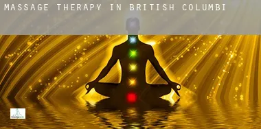 Massage therapy in British Columbia