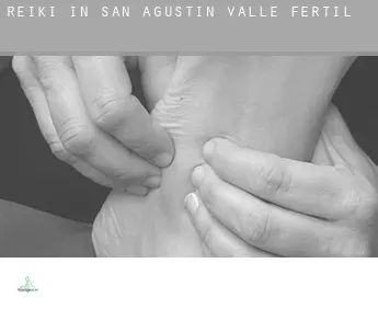 Reiki in  San Agustín de Valle Fértil