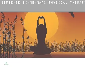Gemeente Binnenmaas  physical therapy