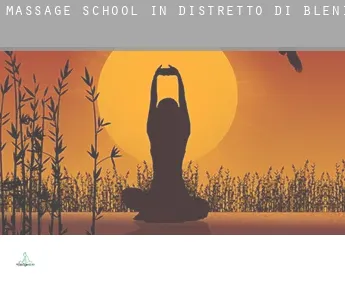 Massage school in  Distretto di Blenio