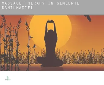 Massage therapy in  Gemeente Dantumadiel
