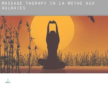 Massage therapy in  La Mothe-aux-Aulnaies