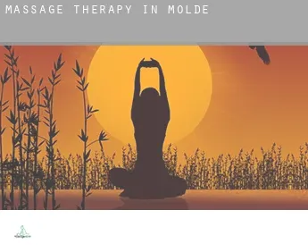 Massage therapy in  Molde