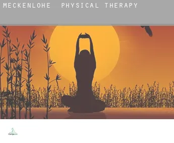 Meckenlohe  physical therapy