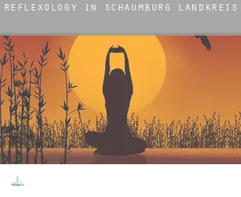 Reflexology in Schaumburg Landkreis