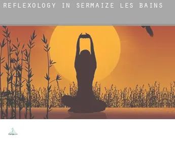 Reflexology in  Sermaize-les-Bains
