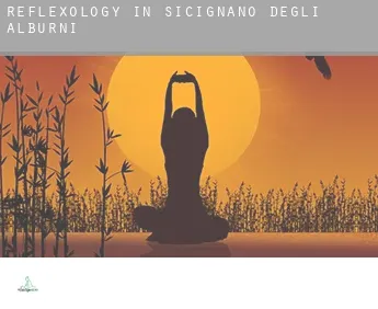 Reflexology in  Sicignano degli Alburni