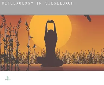 Reflexology in  Siegelbach