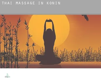 Thai massage in  Konin