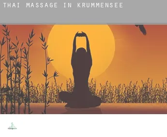 Thai massage in  Krummensee