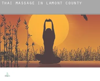 Thai massage in  Lamont County