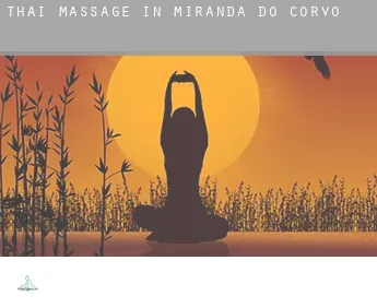 Thai massage in  Miranda do Corvo