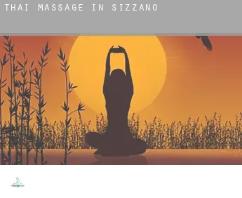 Thai massage in  Sizzano