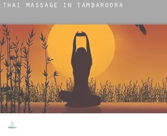 Thai massage in  Tambaroora