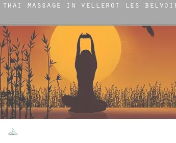 Thai massage in  Vellerot-lès-Belvoir