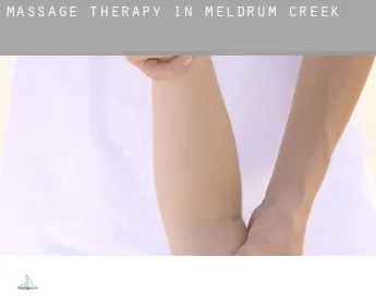 Massage therapy in  Meldrum Creek