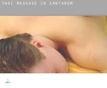 Thai massage in  Santarém