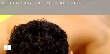 Reflexology in  Czech Republic