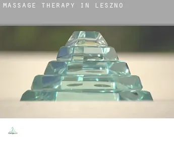 Massage therapy in  Leszno