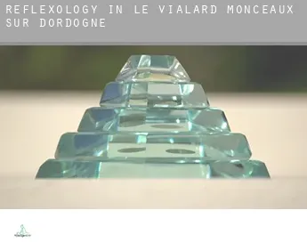 Reflexology in  Le Vialard, Monceaux-sur-Dordogne