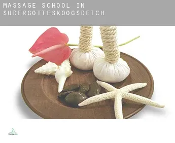 Massage school in Südergotteskoogsdeich
