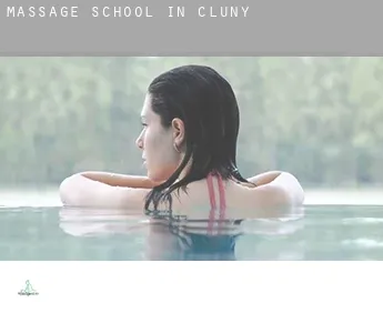 Massage school in  Cluny