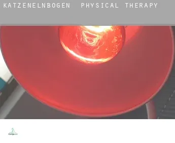 Katzenelnbogen  physical therapy