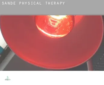 Sande  physical therapy