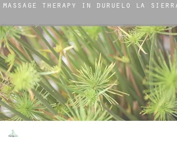 Massage therapy in  Duruelo de la Sierra
