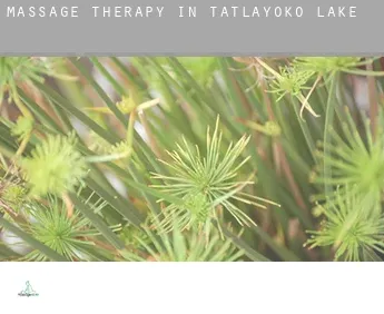 Massage therapy in  Tatlayoko Lake