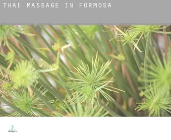 Thai massage in  Formosa