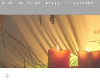 Reiki in  Palau-solità i Plegamans