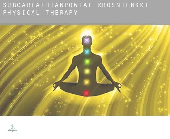 Powiat krośnieński (Subcarpathian Voivodeship)  physical therapy