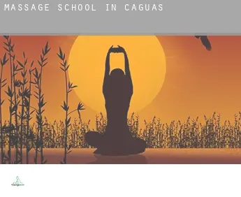 Massage school in  Caguas