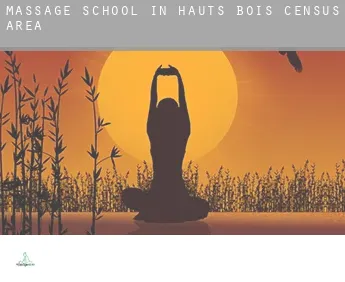 Massage school in  Hauts-Bois (census area)