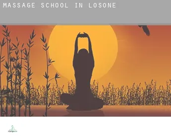 Massage school in  Losone