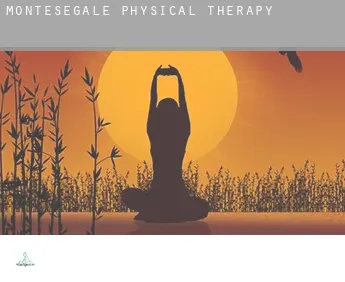 Montesegale  physical therapy
