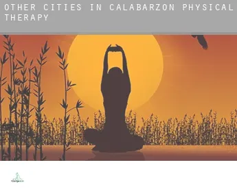 Other cities in Calabarzon  physical therapy