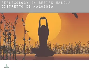 Reflexology in  Bezirk Maloja / Distretto di Maloggia