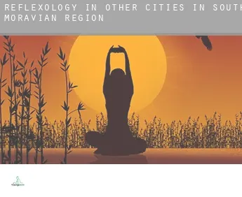 Reflexology in  Other Cities in South Moravian Region