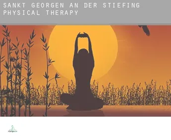 Sankt Georgen an der Stiefing  physical therapy