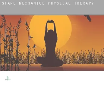 Staré Nechanice  physical therapy