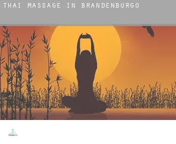 Thai massage in  Brandenburg