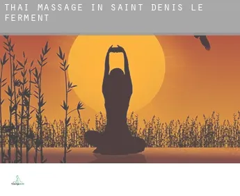 Thai massage in  Saint-Denis-le-Ferment