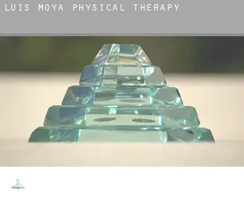 Luis Moya physical therapy